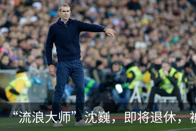 “流浪大师”沈巍，即将退休，被封号