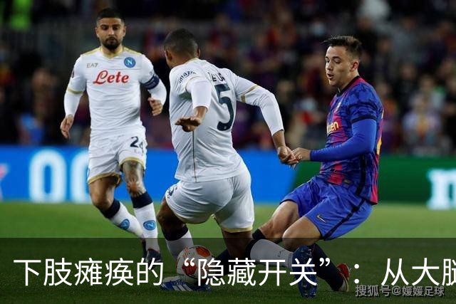 下肢瘫痪的“隐藏开关”：从大腿根到脚底板，这些奇穴你得摸透