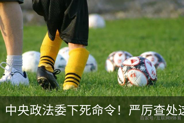 中央政法委下死命令！严厉查处这些行为，一起都不放过！