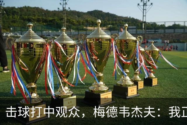 击球打中观众，梅德韦杰夫：我正尝试联系他，想当面道歉