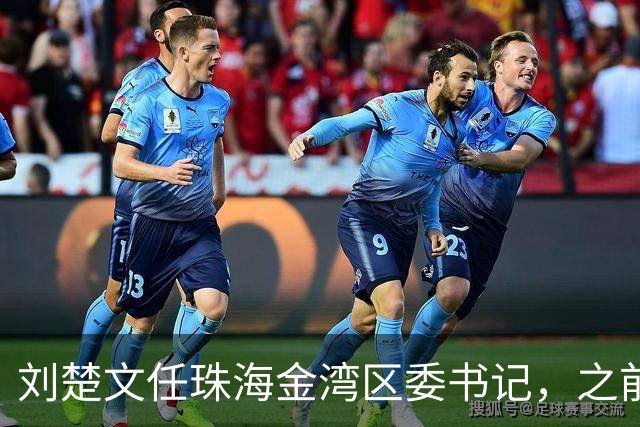 刘楚文任珠海金湾区委书记，之前任深圳市发改委副主任