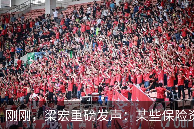 刚刚，梁宏重磅发声：某些保险资管巨头7月追高科技，9月大幅止损了