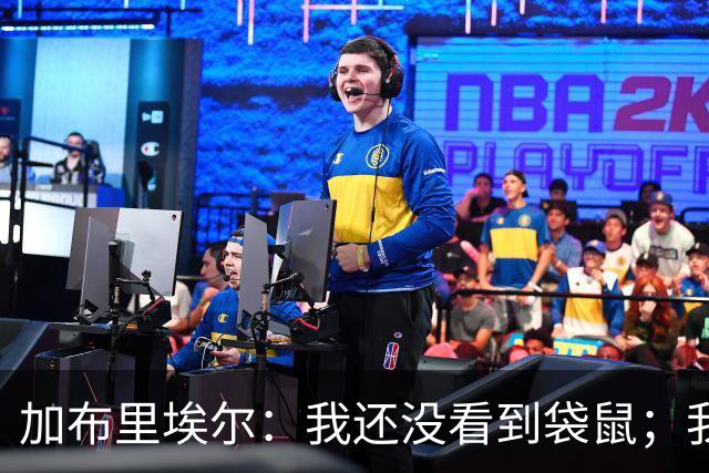 加布里埃尔：我还没看到袋鼠；我和拉菲尼亚聊过了他没事