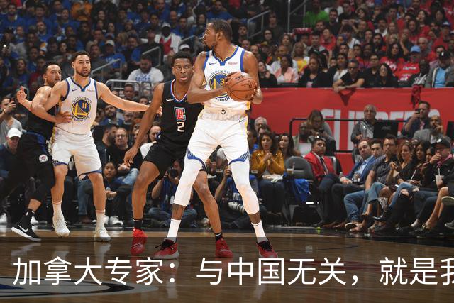 加拿大专家：与中国无关，就是我们干的