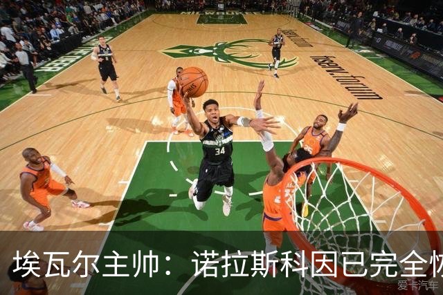 埃瓦尔主帅：诺拉斯科因已完全恢复