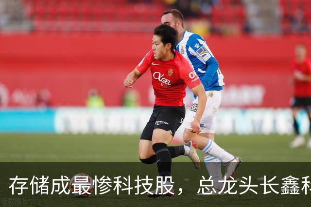 存储成最惨科技股，总龙头长鑫科技大跌30%，逼近上市以来低点，德明利、兆易创新等四大10倍牛股竟跌去7成，专家称当前不宜过度悲观