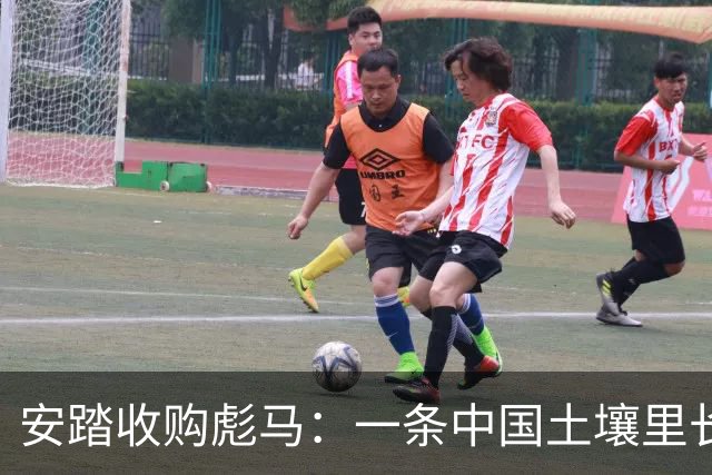 安踏收购彪马：一条中国土壤里长出的世界级企业之路