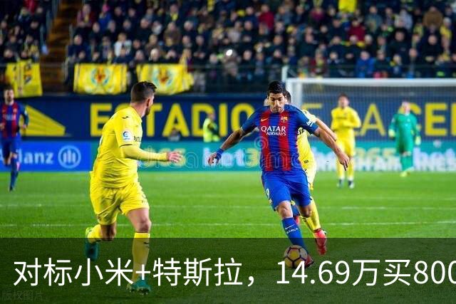 对标小米+特斯拉，14.69万买800公里续航！