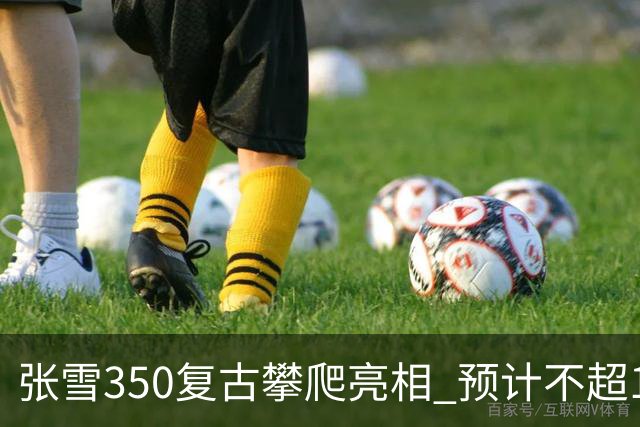 张雪350复古攀爬亮相 预计不超1.5万元