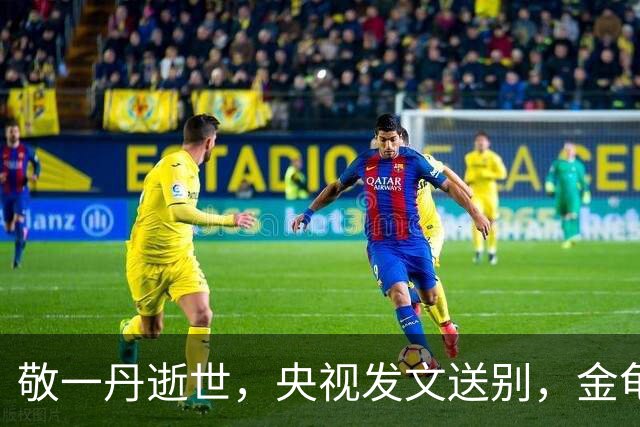 敬一丹逝世，央视发文送别，金龟子深情追忆，40岁女儿成“心病”