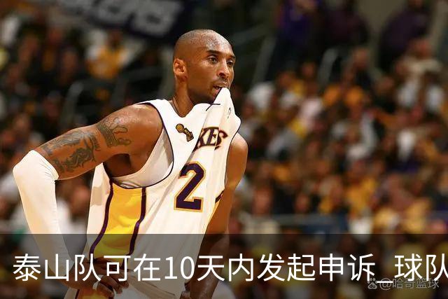 泰山队可在10天内发起申诉 球队人士也一头雾水