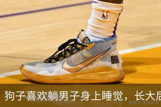 狗子喜欢躺男子身上睡觉，长大后习惯没改，网友：快窒息了！