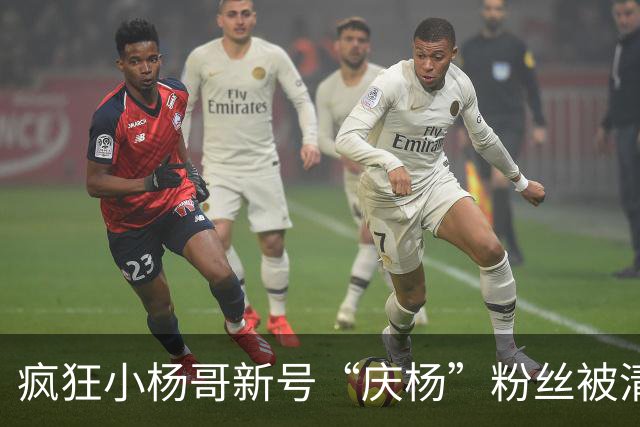 疯狂小杨哥新号“庆杨”粉丝被清零