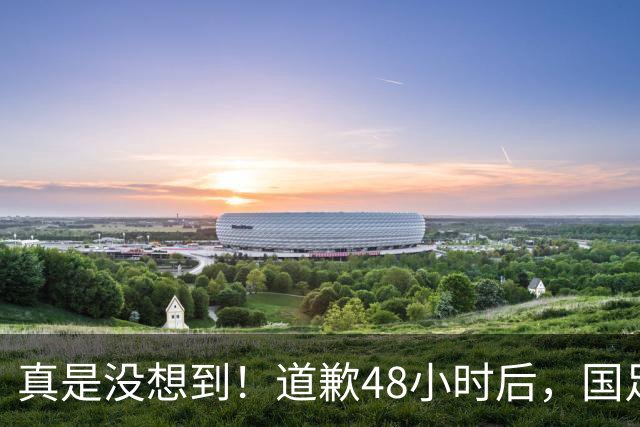 真是没想到！道歉48小时后，国足队长红牌离场，令人恶心的事情接连发生，原来范志毅当初没说错，邵佳一心有余而力不足