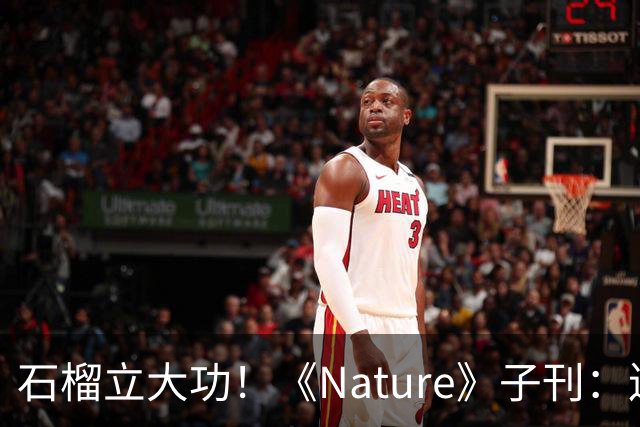 石榴立大功！《Nature》子刊：连续补充4周，身体机能或年轻10岁