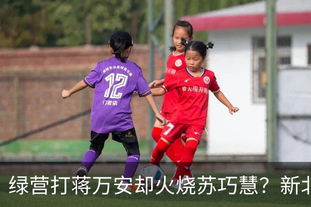 绿营打蒋万安却火烧苏巧慧？新北市议员曝铁证：造假学历的假博士