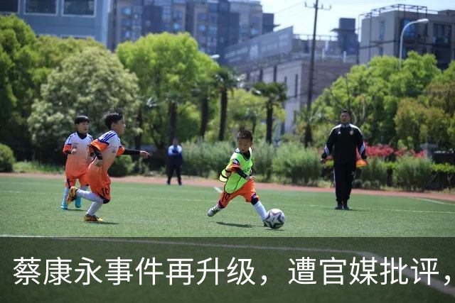 蔡康永事件再升级，遭官媒批评，陶晶莹为其发声，网友：这是补刀
