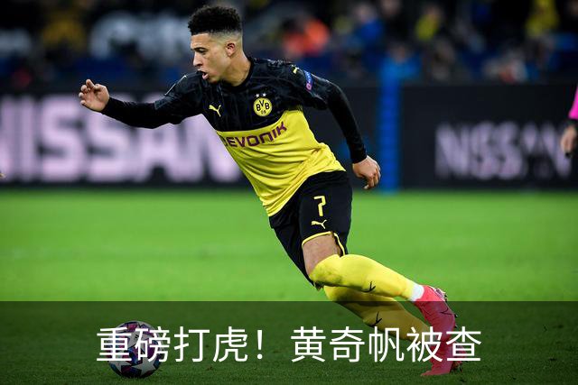 重磅打虎！黄奇帆被查