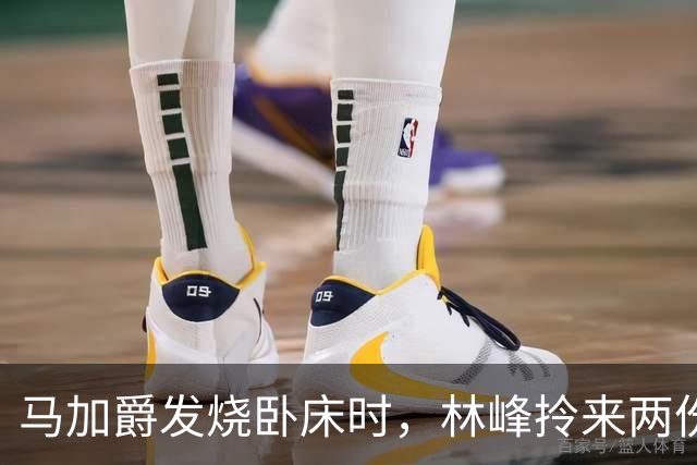马加爵发烧卧床时，林峰拎来两份盒饭陪他一起吃；那个寒假他连杀四人，锤子已握在手中，却对站在门口的林峰没下手，供述里只提到了那顿饭